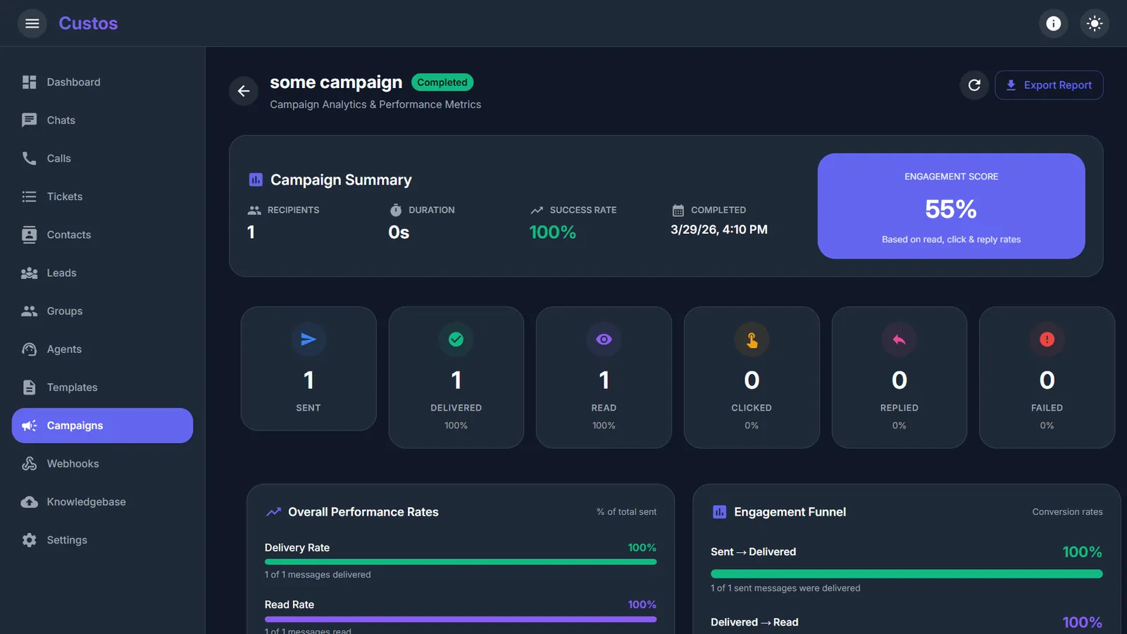 Campaign delivery analytics