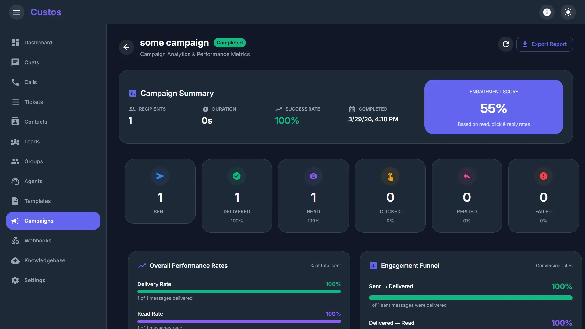 Campaign delivery analytics